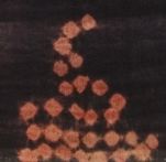 Baqmouq, Tunisian or Libyan Berber Woman's Mantle