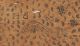 Mbuti Pygmy Bark Cloth