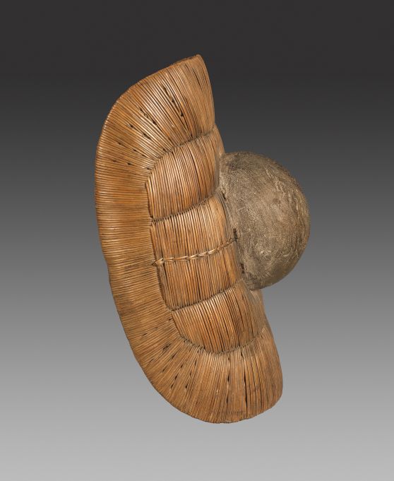 Hima Shield