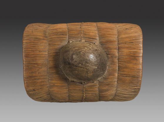 Hima Shield